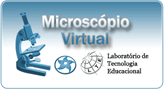 Microscópio Virtual
